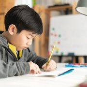 香港中小學中文寫作水平考試預備班